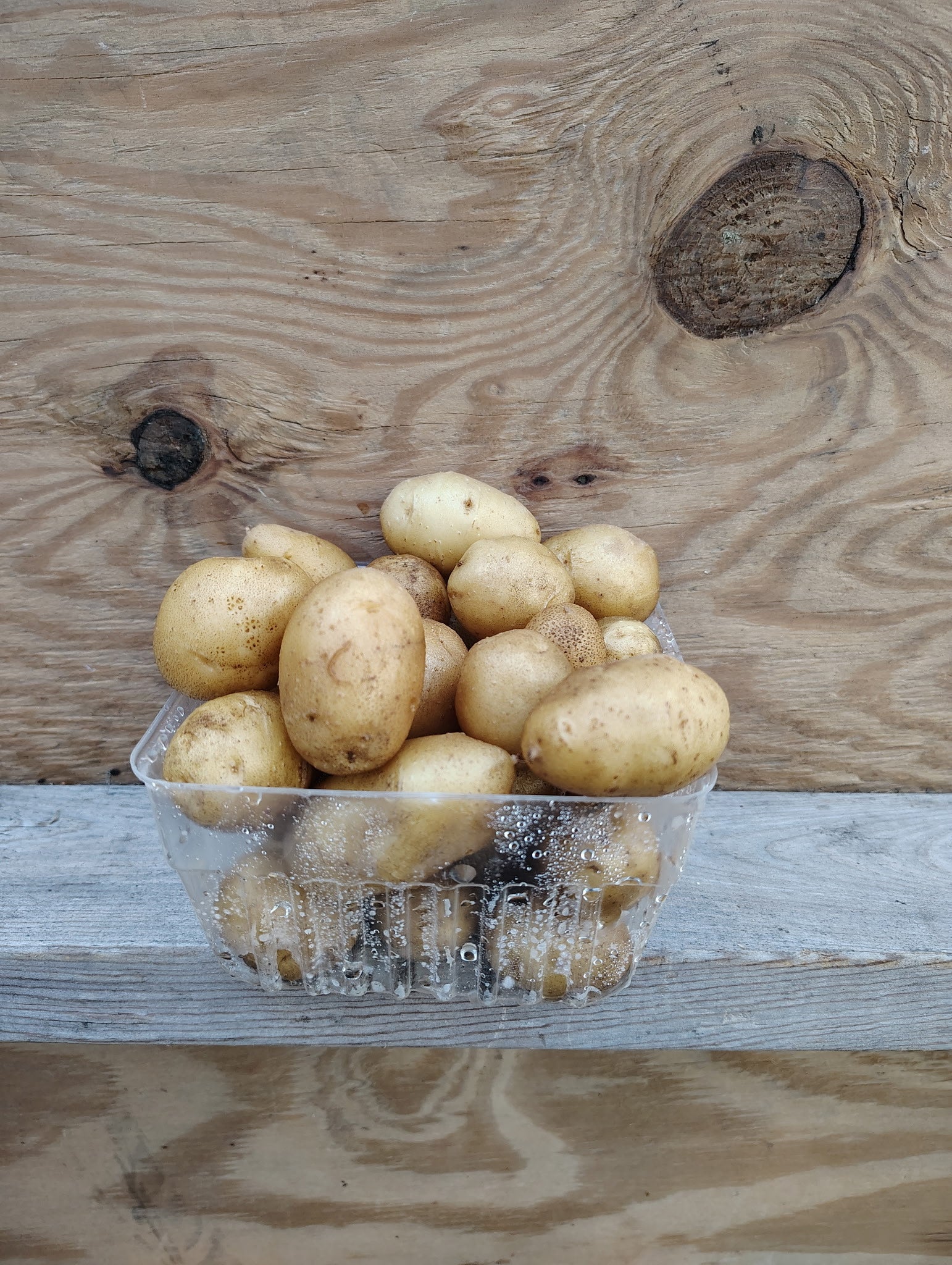 Rubio Farms - Golden Potatoes