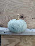 Rubio Farms - Grey Kabocha Squash