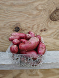 Rubio Farms - Red Fingerling Potatoes
