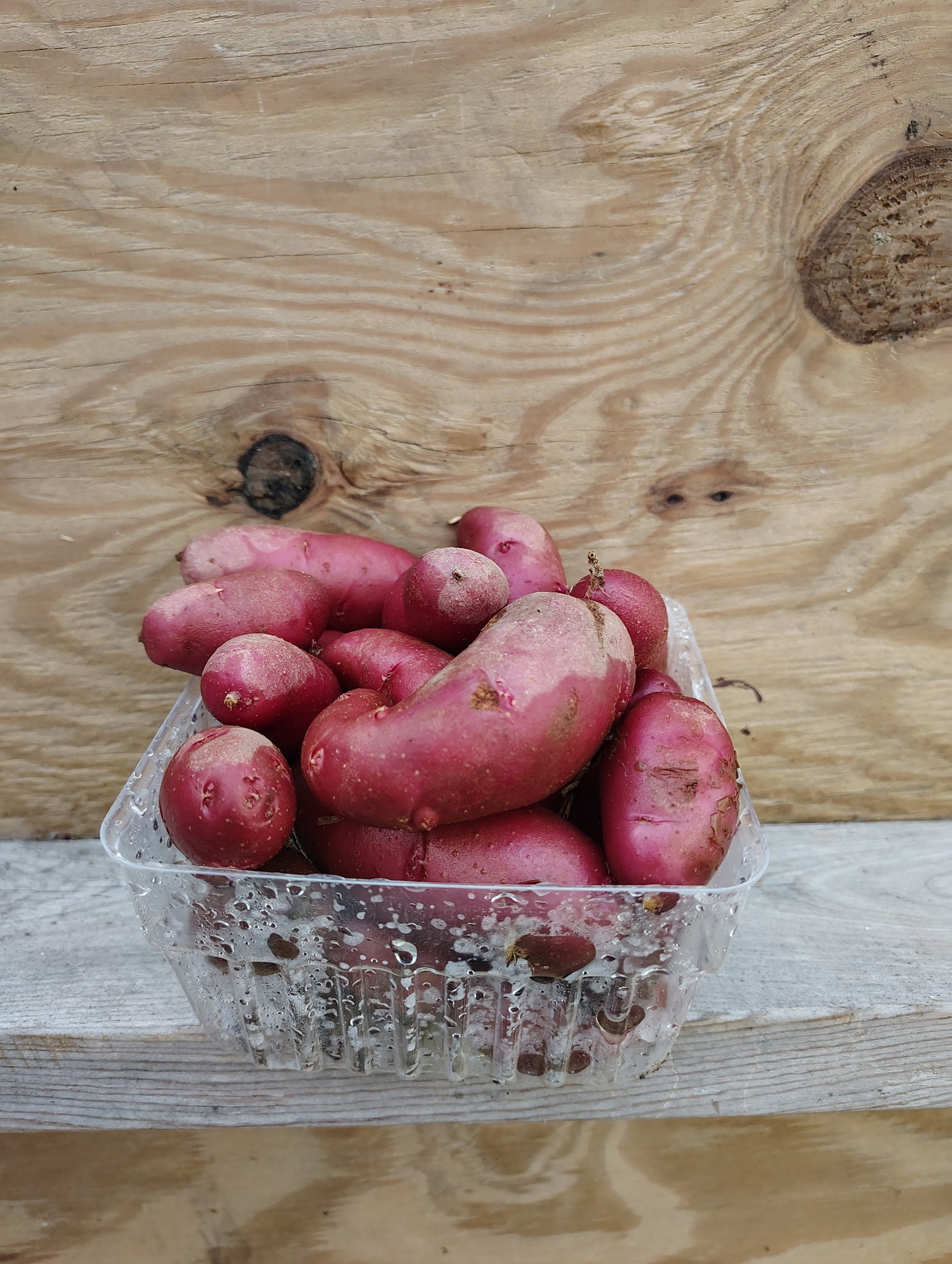 Rubio Farms - Red Fingerling Potatoes