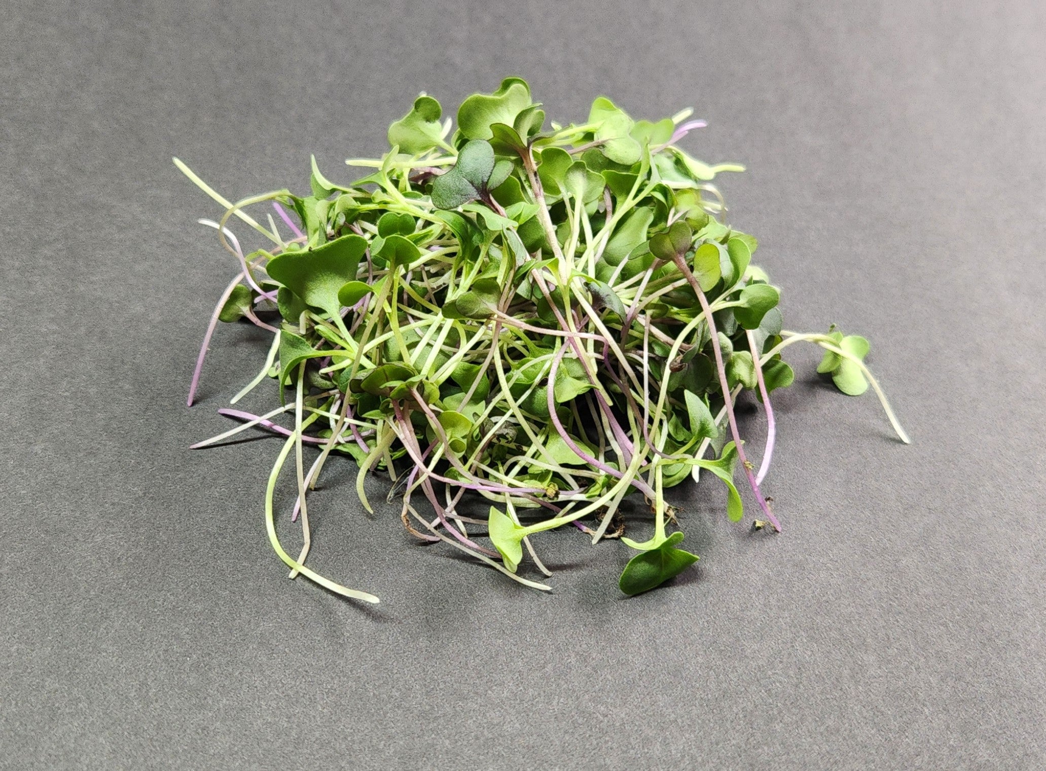 Leaves of Two - 2oz Salad Mix (Arugula, Broccoli, Kale, Kohlrabi, & Red Cabbage)