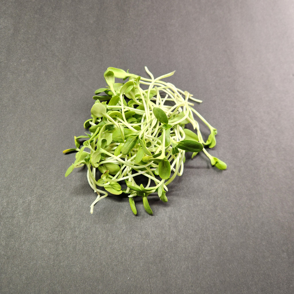 Leaves of Two - 4oz Sunflower Sprouts